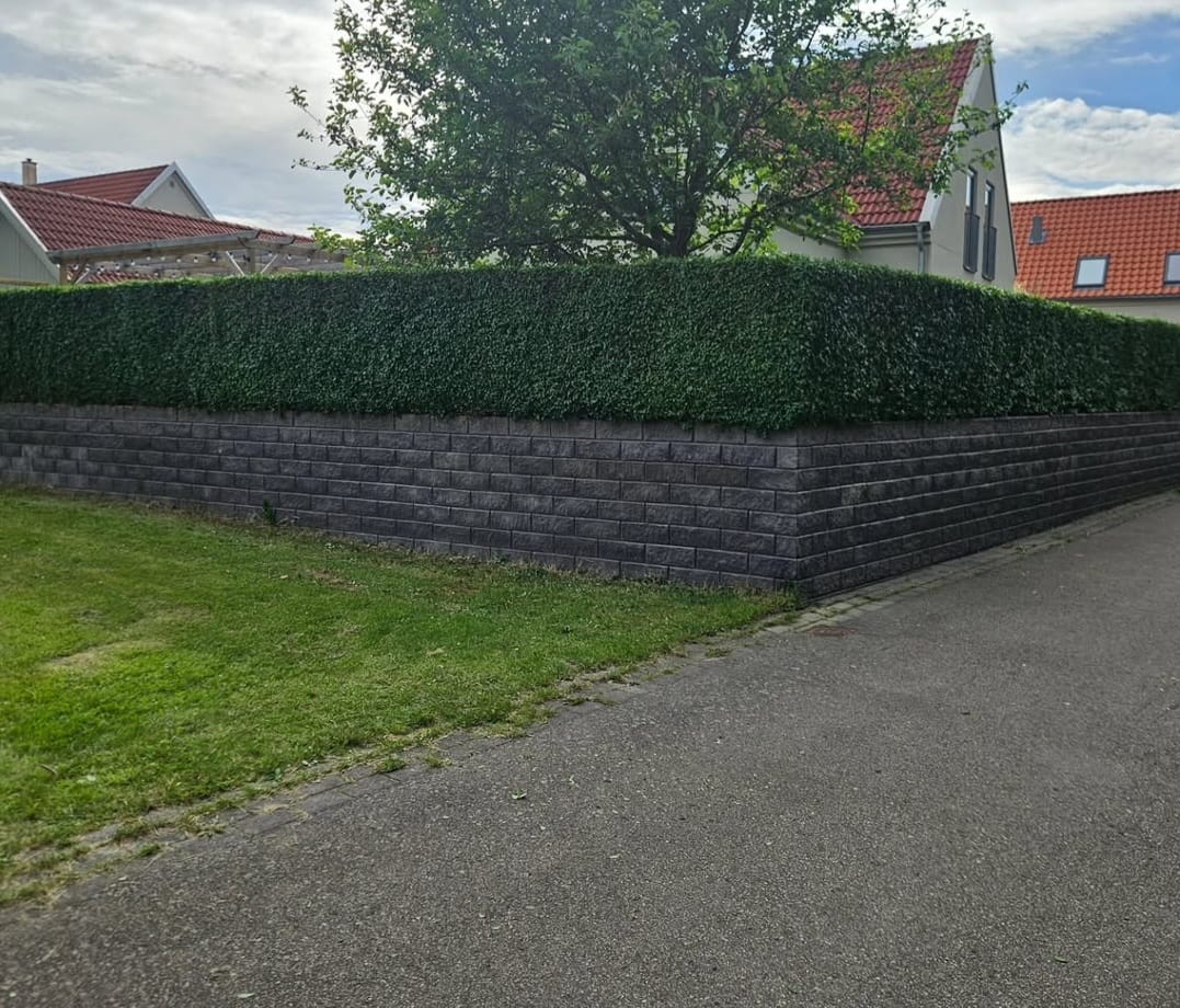 Häck efter klippning – efter