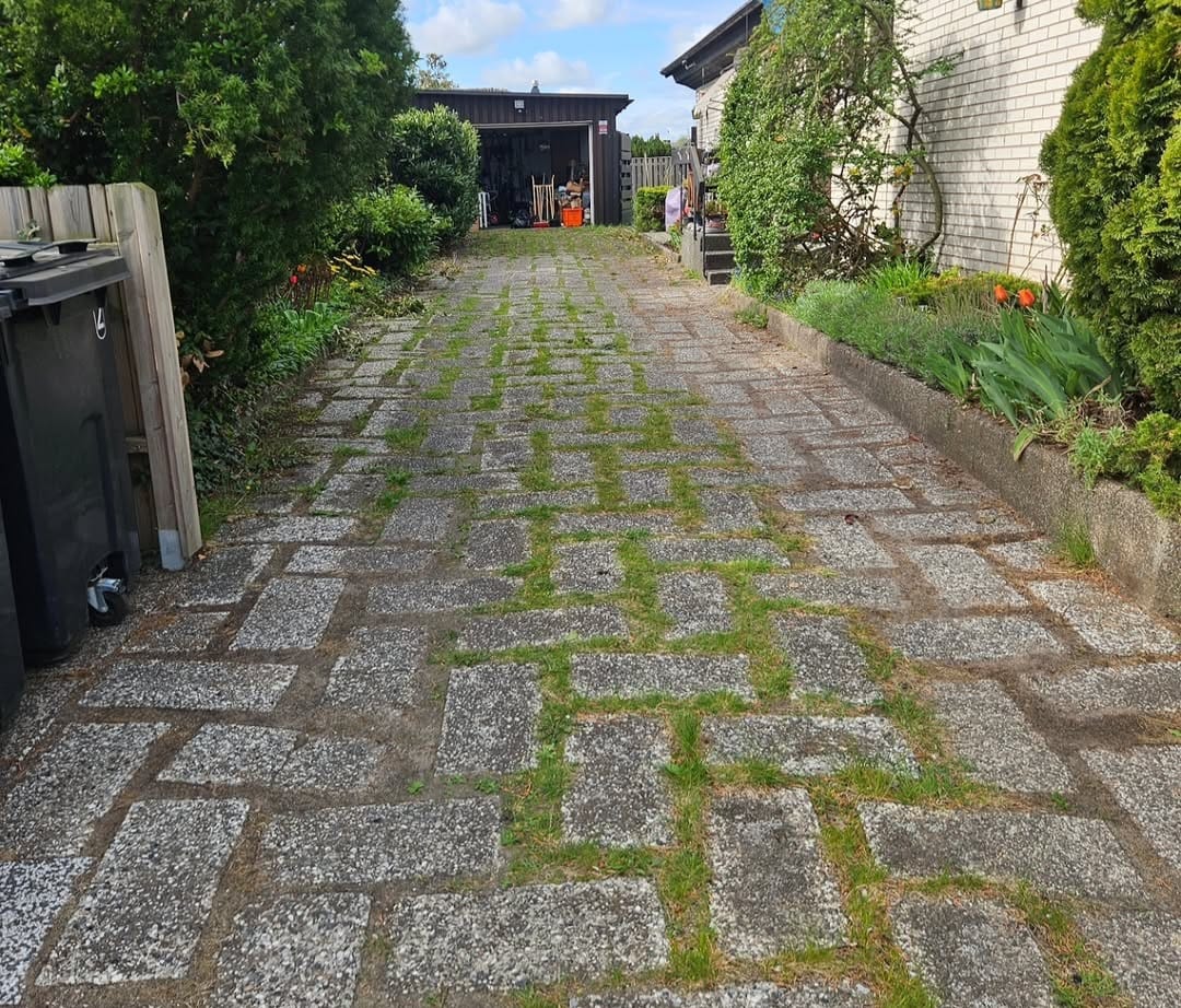 Stengång med ogräs mellan stenarna – före